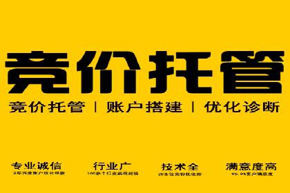 谷歌SEM案例分享：提升品牌形象与口碑